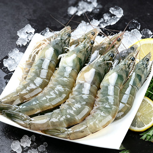 Frozen Prawns